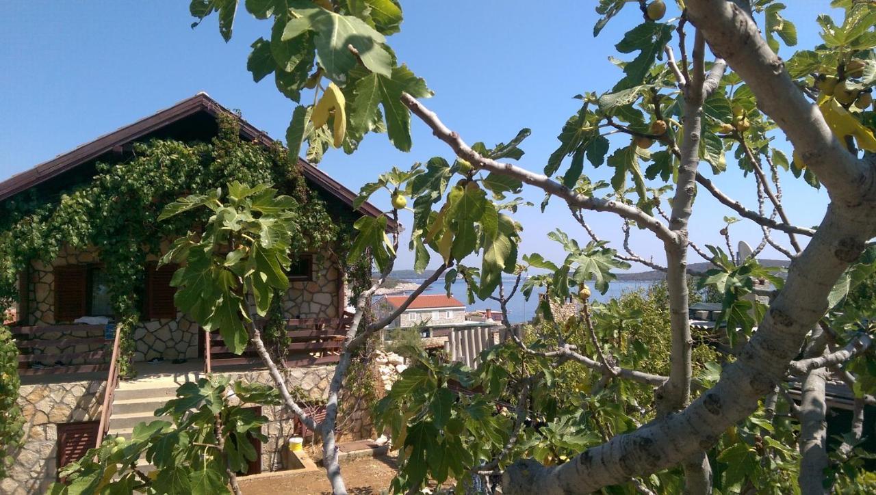 Apartman Knezevic Apartment Rukavac  Bagian luar foto